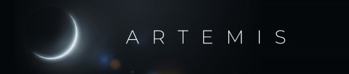 google/artemis